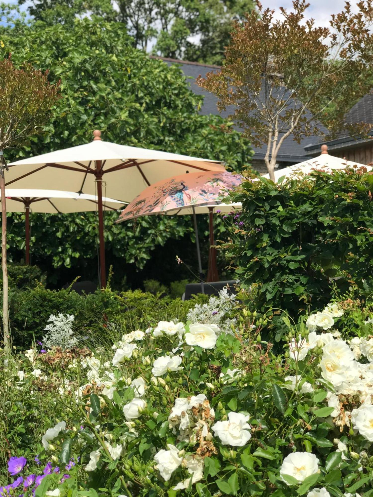 Manoir Saint-Andre,B&B De Charme Theix Dış mekan fotoğraf