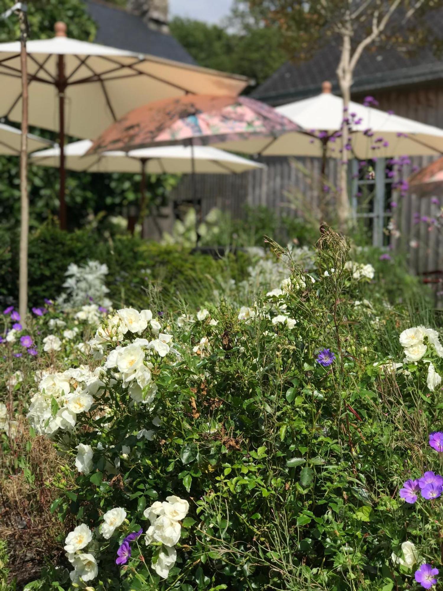Manoir Saint-Andre,B&B De Charme Theix Dış mekan fotoğraf