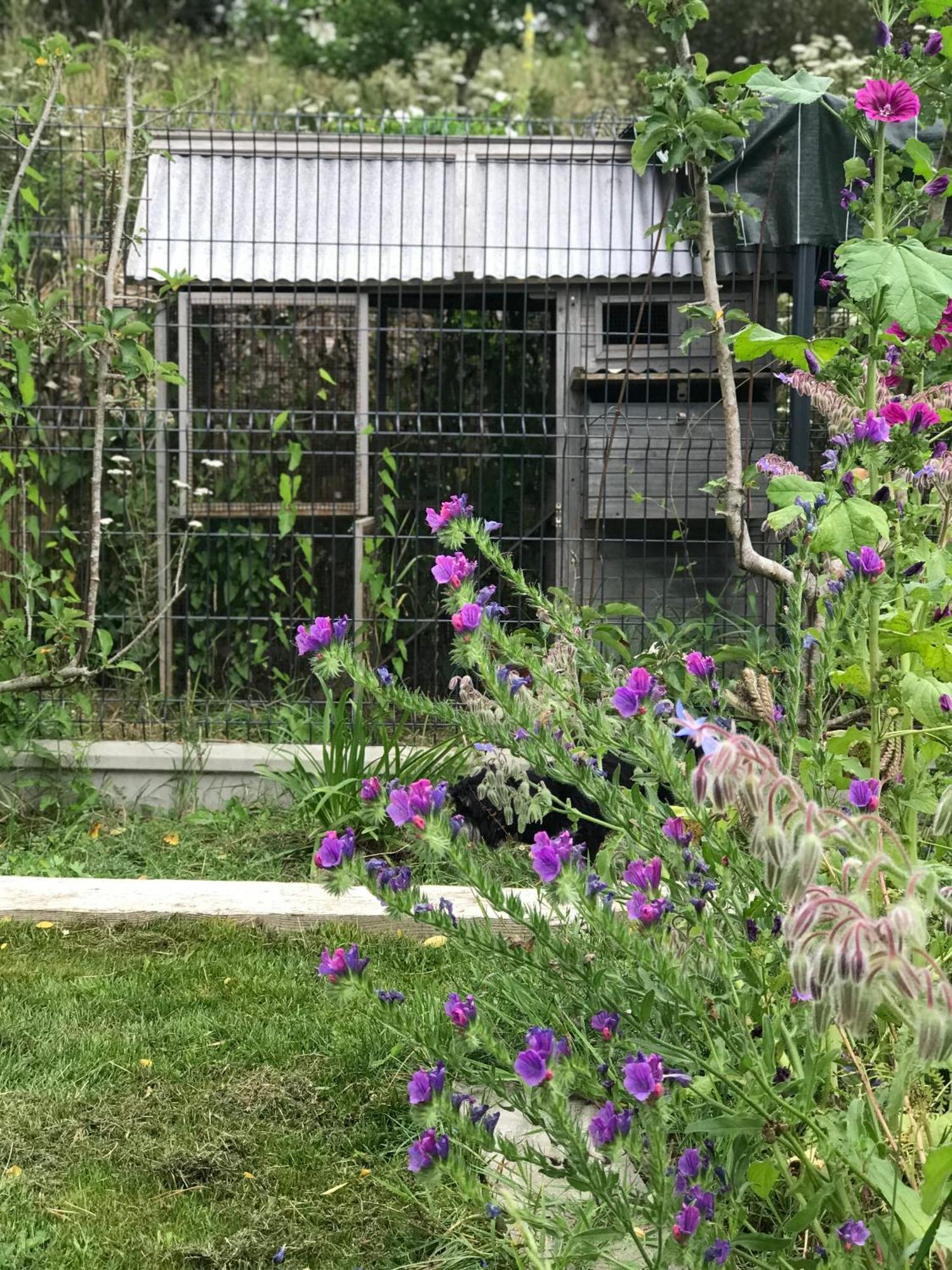 Manoir Saint-Andre,B&B De Charme Theix Dış mekan fotoğraf